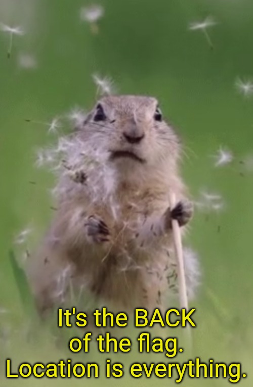 Chipmunk disappointed | It's the BACK of the flag. Location is everything. | image tagged in chipmunk disappointed | made w/ Imgflip meme maker