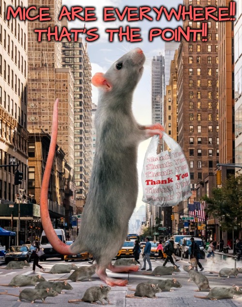 MICE ARE EVERYWHERE!! THAT'S THE POINT!! | made w/ Imgflip meme maker