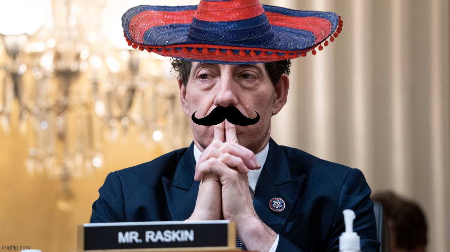 Corrupt Raskin | image tagged in corrupt raskin | made w/ Imgflip meme maker