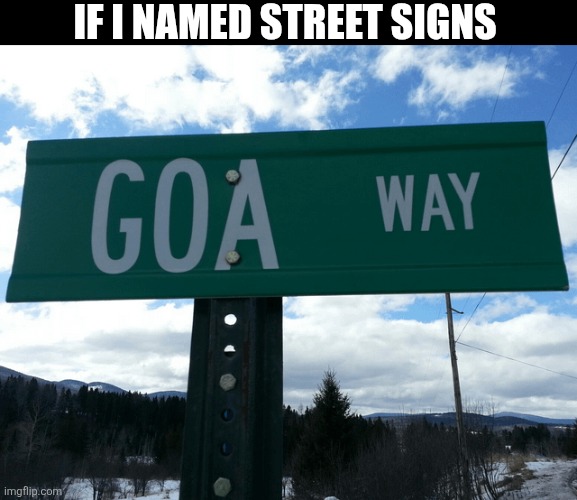 If I Named Street Signs | IF I NAMED STREET SIGNS | image tagged in chris joines | made w/ Imgflip meme maker