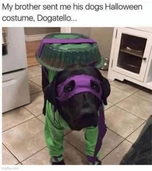 Sooperdog | image tagged in memes,dogs | made w/ Imgflip meme maker