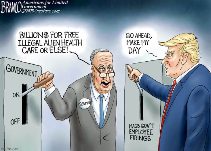 don't you just love the U.S. Government. LOL | image tagged in illegal aliens,chuck schumer,government shutdown,healthcare,democrats | made w/ Imgflip meme maker