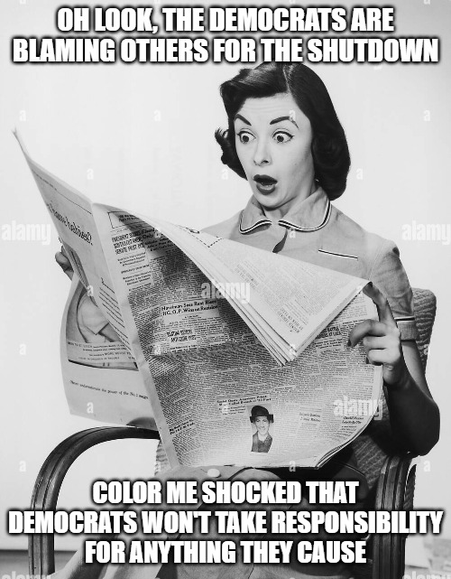 OH LOOK, THE DEMOCRATS ARE BLAMING OTHERS FOR THE SHUTDOWN; COLOR ME SHOCKED THAT DEMOCRATS WON'T TAKE RESPONSIBILITY FOR ANYTHING THEY CAUSE | image tagged in democrats,government shutdown,leftists | made w/ Imgflip meme maker