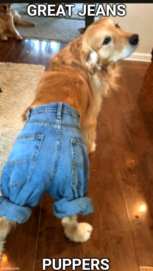 Puppers | GREAT JEANS; PUPPERS | image tagged in jeans | made w/ Imgflip meme maker