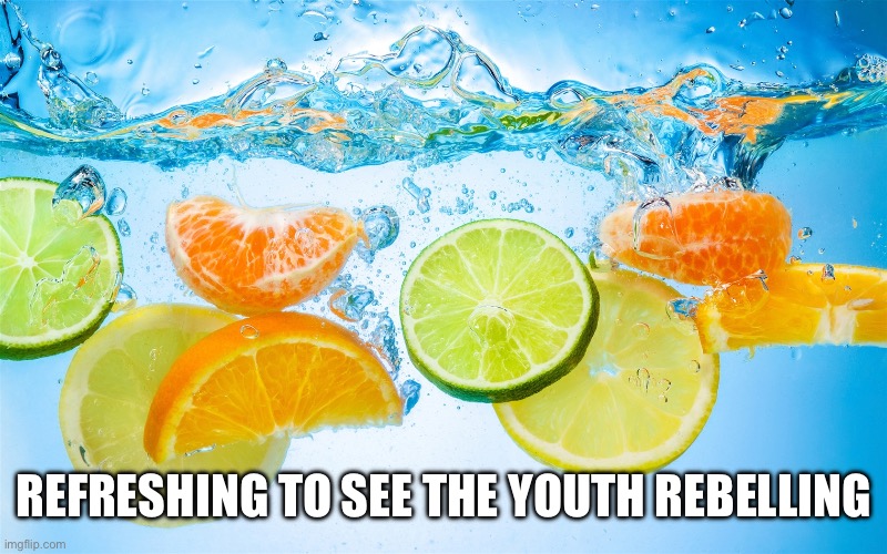 Refreshing Ahh Image | REFRESHING TO SEE THE YOUTH REBELLING | image tagged in refreshing ahh image | made w/ Imgflip meme maker