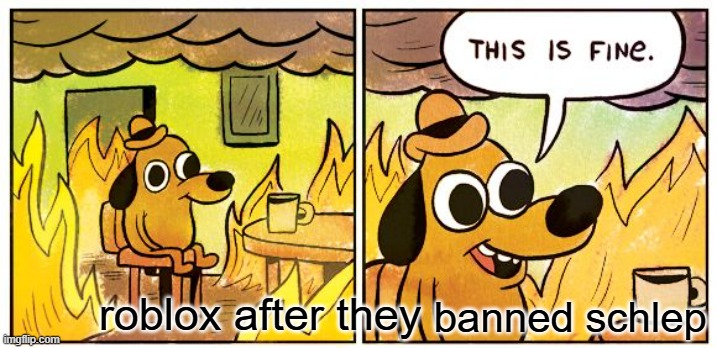 This Is Fine Meme | banned schlep; roblox after they | image tagged in memes,this is fine | made w/ Imgflip meme maker