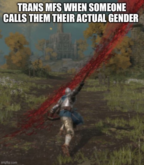 bloody slash | TRANS MFS WHEN SOMEONE CALLS THEM THEIR ACTUAL GENDER | image tagged in bloody slash | made w/ Imgflip meme maker