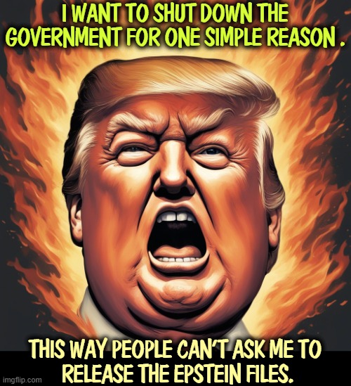 Literally nothing else matters to him. | I WANT TO SHUT DOWN THE GOVERNMENT FOR ONE SIMPLE REASON . THIS WAY PEOPLE CAN'T ASK ME TO
 RELEASE THE EPSTEIN FILES. | image tagged in trump,jeffrey epstein,shut down,government | made w/ Imgflip meme maker