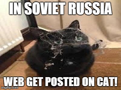 IN SOVIET RUSSIA WEB GET POSTED ON CAT! | image tagged in cat | made w/ Imgflip meme maker