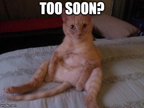 Chester The Cat | TOO SOON? | image tagged in memes,chester the cat | made w/ Imgflip meme maker