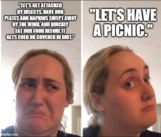 Kombucha Girl | "LET'S GET ATTACKED BY INSECTS, HAVE OUR PLATES AND NAPKINS SWEPT AWAY BY THE WIND, AND QUICKLY EAT OUR FOOD BEFORE IT GETS COLD OR COVERED IN DIRT."; "LET'S HAVE A PICNIC." | image tagged in kombucha girl,picnic | made w/ Imgflip meme maker