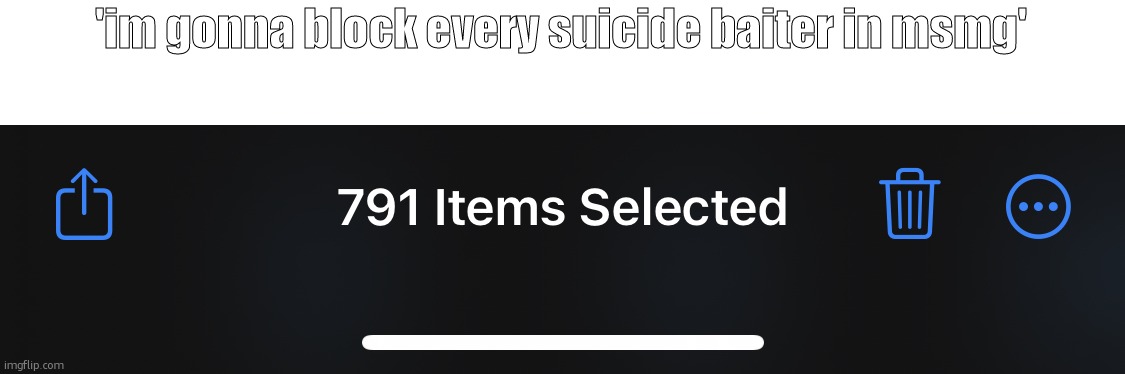 Deleting all private photos | 'im gonna block every suicide baiter in msmg' | image tagged in deleting all private photos | made w/ Imgflip meme maker