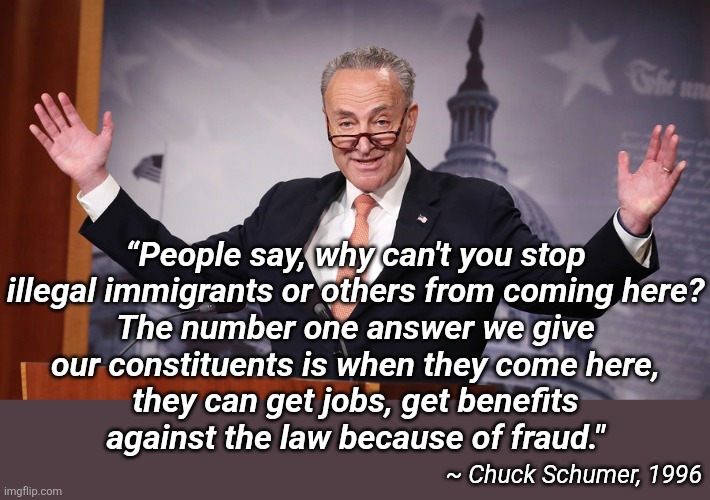 Chuck Schumer | “People say, why can't you stop
illegal immigrants or others from coming here?
The number one answer we give
our constituents is when they come here,
they can get jobs, get benefits
against the law because of fraud."; ~ Chuck Schumer, 1996 | image tagged in chuck schumer | made w/ Imgflip meme maker