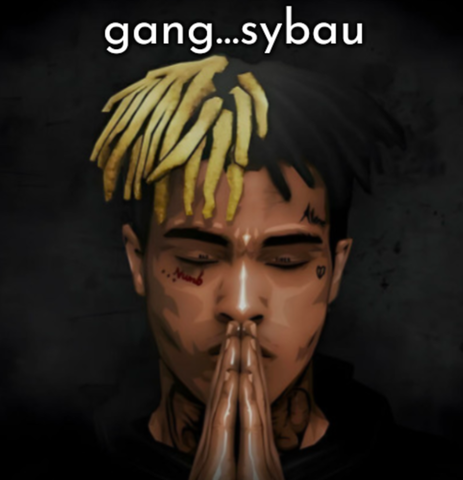 gang...sybau Blank Meme Template