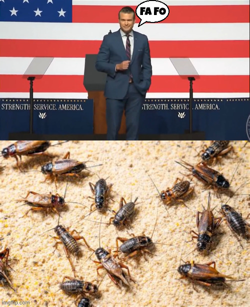 Pete has a captive audience at Quantico | FA FO | image tagged in quit your day job,crickets,general admission,pete has a captive audience at quantico,maga military,bone spus | made w/ Imgflip meme maker