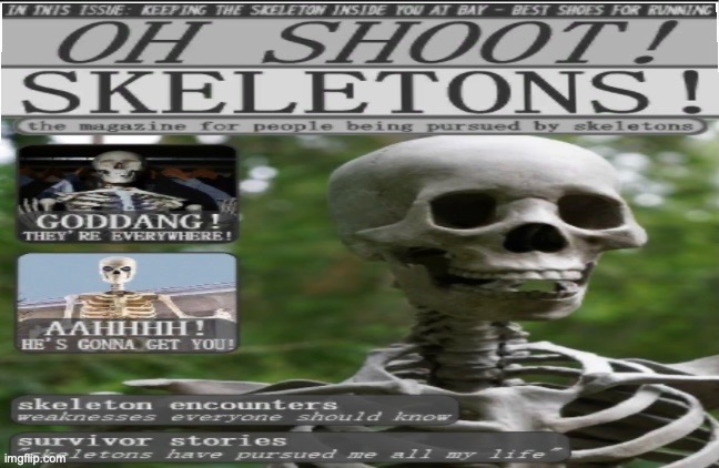 oh shoot!! skeletons!!!11!1 | image tagged in oh shoot skeletons 11 1 | made w/ Imgflip meme maker