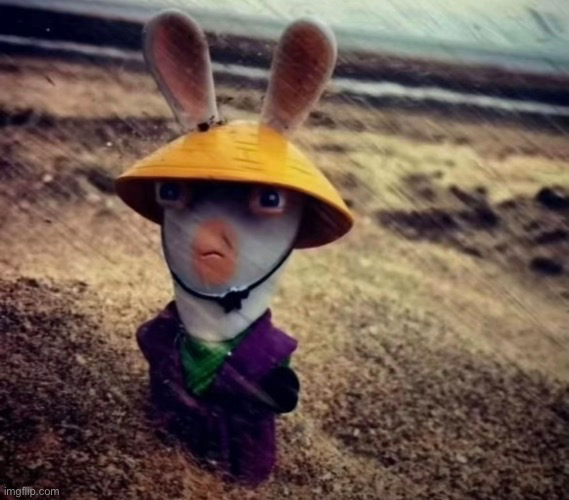 High Quality sensei rabbid Blank Meme Template