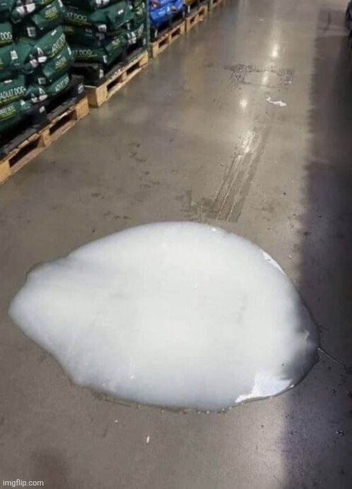 What is this | made w/ Imgflip meme maker