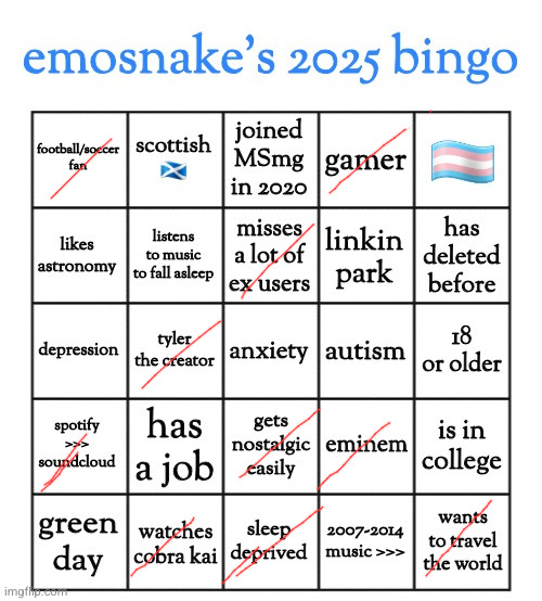 bingo ninja | image tagged in emosnake's 2025 bingo | made w/ Imgflip meme maker