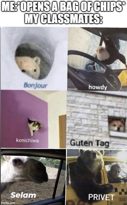 Bonjour howdy konichiwa guten tag Selam privet | ME:*OPENS A BAG OF CHIPS*
MY CLASSMATES: | image tagged in bonjour howdy konichiwa guten tag selam privet,funny,memes,school,snacks,oh wow are you actually reading these tags | made w/ Imgflip meme maker