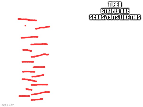 TIGER STRIPES ARE SCARS/CUTS LIKE THIS | made w/ Imgflip meme maker