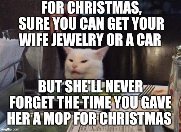 Smudge that darn cat | FOR CHRISTMAS, SURE YOU CAN GET YOUR WIFE JEWELRY OR A CAR; BUT SHE'LL NEVER FORGET THE TIME YOU GAVE HER A MOP FOR CHRISTMAS | image tagged in smudge that darn cat | made w/ Imgflip meme maker