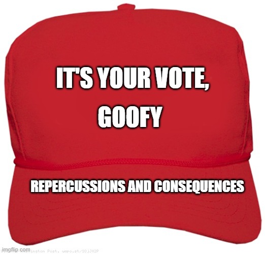 Red Hat Goofy | IT'S YOUR VOTE, GOOFY; REPERCUSSIONS AND CONSEQUENCES | image tagged in blank red maga hat,red hat,republicans,maga,conservatives | made w/ Imgflip meme maker