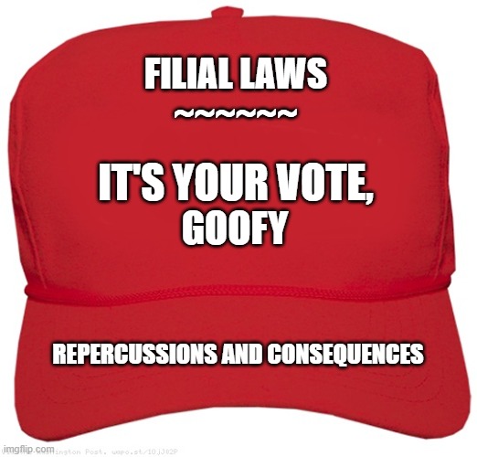Red Hat Filial Laws | FILIAL LAWS
~~~~~~; IT'S YOUR VOTE, GOOFY; REPERCUSSIONS AND CONSEQUENCES | image tagged in blank red maga hat,conservatives,republicans,donald trump,maga | made w/ Imgflip meme maker