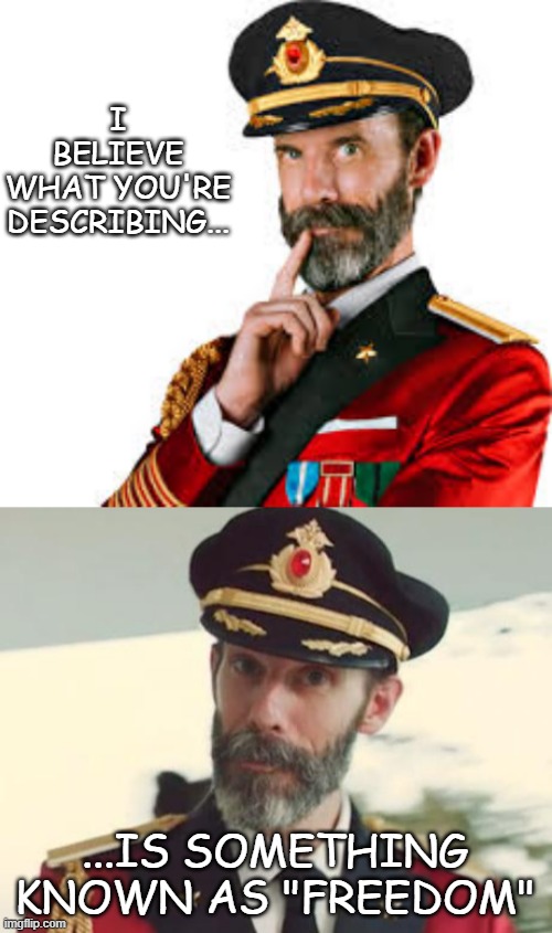 I BELIEVE WHAT YOU'RE DESCRIBING... ...IS SOMETHING KNOWN AS "FREEDOM" | image tagged in hmm captain obvious,captain obvious | made w/ Imgflip meme maker