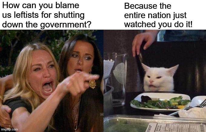 It's not much of a mystery leftists. | How can you blame us leftists for shutting down the government? Because the entire nation just watched you do it! | image tagged in woman yelling at cat | made w/ Imgflip meme maker