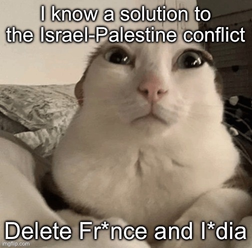 goober | I know a solution to the Israel-Palestine conflict; Delete Fr*nce and I*dia | image tagged in goober | made w/ Imgflip meme maker