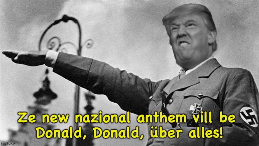 Donald Trump Hitler | Ze new nazional anthem vill be 
Donald, Donald, über alles! | image tagged in donald trump hitler | made w/ Imgflip meme maker