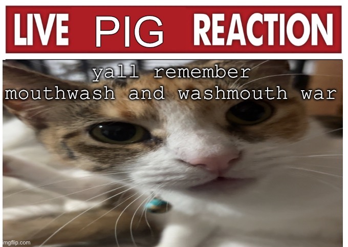 woah | yall remember mouthwash and washmouth war | image tagged in woah | made w/ Imgflip meme maker