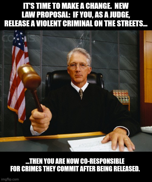 Put an end to Catch and Release decisions by Judges | IT'S TIME TO MAKE A CHANGE.  NEW LAW PROPOSAL:  IF YOU, AS A JUDGE, RELEASE A VIOLENT CRIMINAL ON THE STREETS... ...THEN YOU ARE NOW CO-RESPONSIBLE FOR CRIMES THEY COMMIT AFTER BEING RELEASED. | image tagged in judge | made w/ Imgflip meme maker