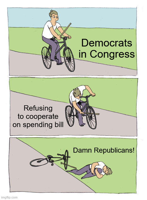 Democrats in Congress | Democrats in Congress; Refusing to cooperate on spending bill; Damn Republicans! | image tagged in memes,bike fall,libtards,demoncrats,morons | made w/ Imgflip meme maker