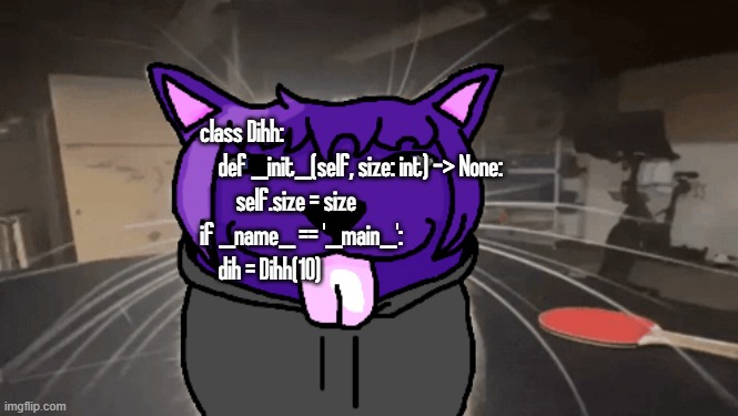 tge silly | class Dihh:
    def __init__(self, size: int) -> None:
        self.size = size

if __name__ == '__main__':
    dih = Dihh(10) | image tagged in tge silly | made w/ Imgflip meme maker