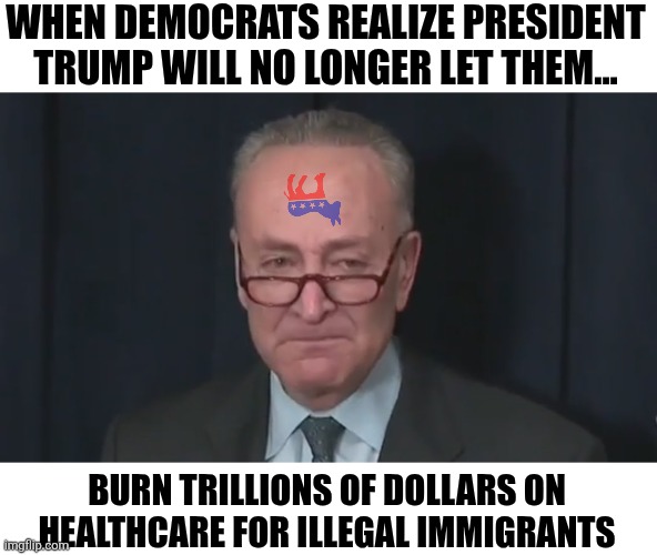 Democrats refuse to fund the government unless they can spend over a trillion on healthcare for illegals? Good luck! | WHEN DEMOCRATS REALIZE PRESIDENT TRUMP WILL NO LONGER LET THEM... BURN TRILLIONS OF DOLLARS ON HEALTHCARE FOR ILLEGAL IMMIGRANTS | image tagged in chuck schumer crying,crying democrats,losers,liberal logic,illegal immigration,wrong answers only | made w/ Imgflip meme maker