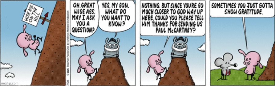 Pearls Before Swine | image tagged in comics | made w/ Imgflip meme maker