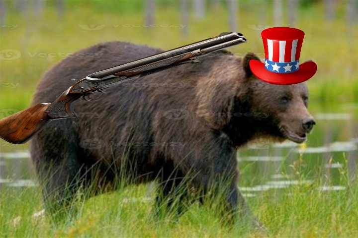 US Bear Blank Meme Template