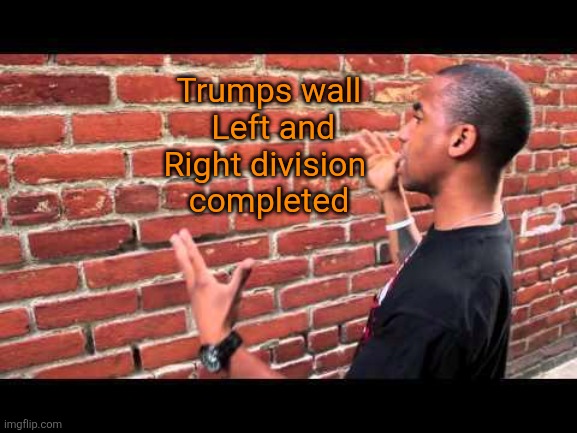 Brick wall guy | Trumps wall
 Left and Right division 
completed | image tagged in brick wall guy | made w/ Imgflip meme maker