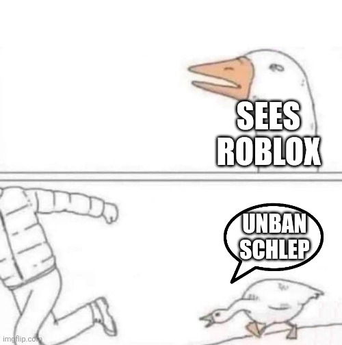 Goose Chase | SEES ROBLOX; UNBAN SCHLEP | image tagged in goose chase | made w/ Imgflip meme maker