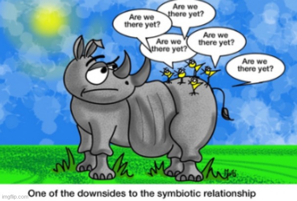 One of the Downsides to a Symbiotic Relationship... | image tagged in biology,bird,rhino,animals | made w/ Imgflip meme maker