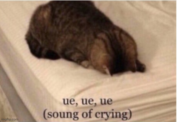 ue ue ue | image tagged in h | made w/ Imgflip meme maker