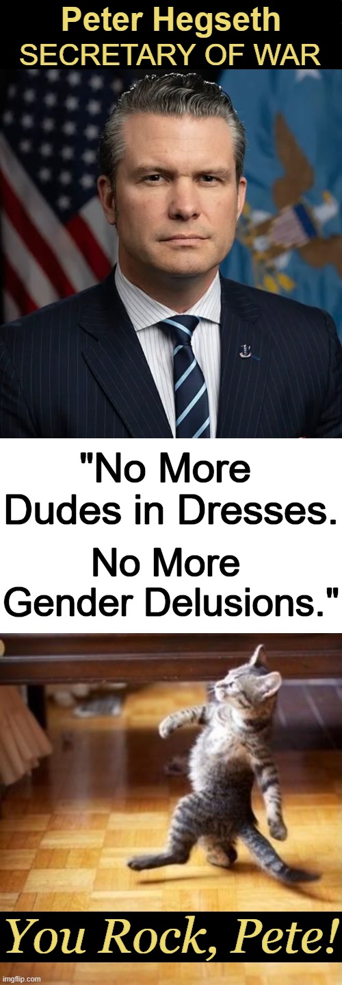 EXCEEDING Expectations! | Peter Hegseth; SECRETARY OF WAR; "No More 
Dudes in Dresses. No More 
Gender Delusions."; You Rock, Pete! | image tagged in pete hegseth,strength,peace,professionals have standards,make america great again,american excellence | made w/ Imgflip meme maker