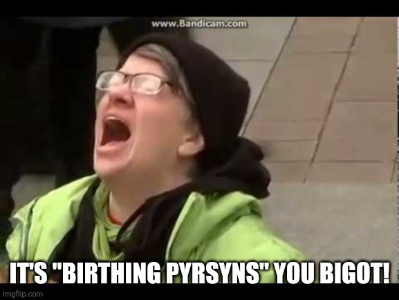 REEEEEEEEEEEEEEEEEEEE | IT'S "BIRTHING PYRSYNS" YOU BIGOT! | image tagged in reeeeeeeeeeeeeeeeeeee | made w/ Imgflip meme maker