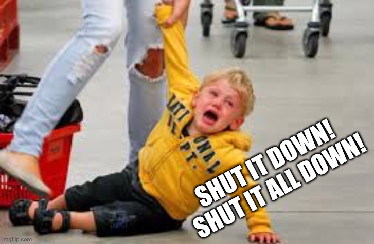 Tantrum store | SHUT IT DOWN! 
SHUT IT ALL DOWN! | image tagged in tantrum store | made w/ Imgflip meme maker
