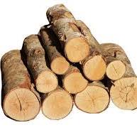 High Quality logs Blank Meme Template