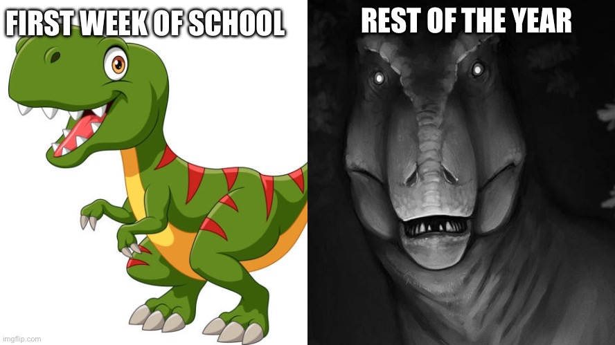 REST OF THE YEAR; FIRST WEEK OF SCHOOL | image tagged in school meme | made w/ Imgflip meme maker