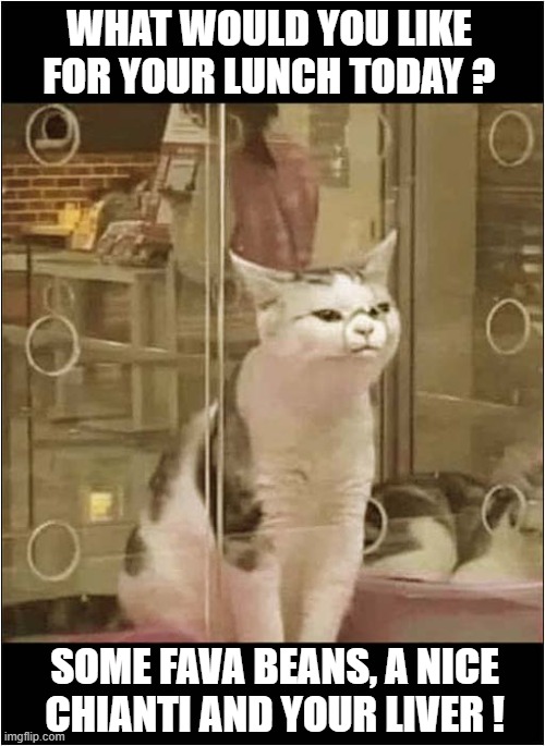 When You Name Your Cat Hannibal ! | WHAT WOULD YOU LIKE FOR YOUR LUNCH TODAY ? SOME FAVA BEANS, A NICE CHIANTI AND YOUR LIVER ! | image tagged in cats,hannibal lecter,lunch,silence of the lambs | made w/ Imgflip meme maker