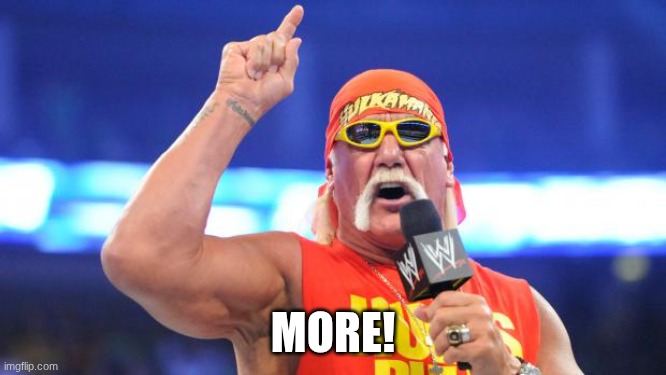 Hulk Hogan | MORE! | image tagged in hulk hogan | made w/ Imgflip meme maker